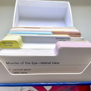 Barron’s Anatomy Flash Cards